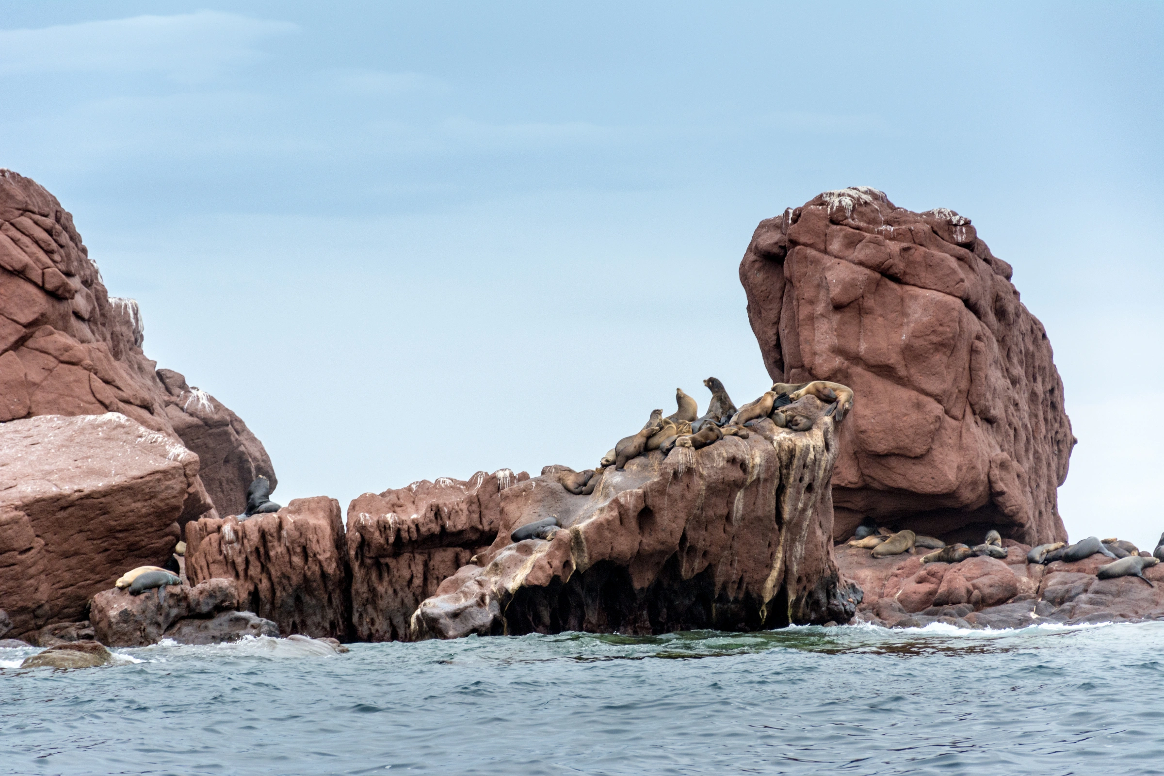 Isla_Los_Islotes[1].webp